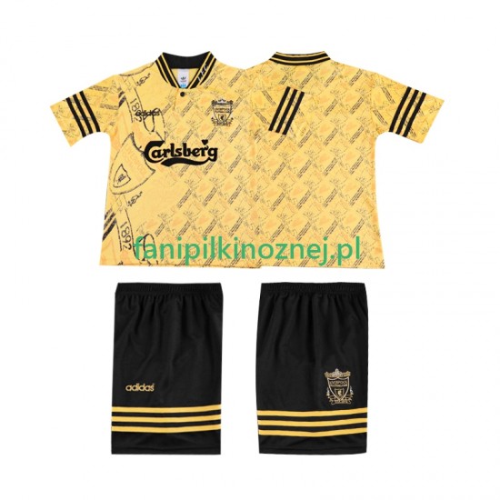 Koszulka Liverpool LWP 1996 Retro 1994 Trzeci Krótkie Rękawy ,Dziecięca