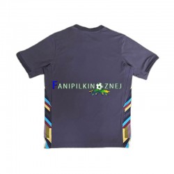 Koszulka Reprezentacji Anglii ME 2024 Wyjazdowa Krótkie Rękawy ,Męska