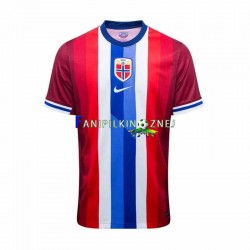 Koszulka Reprezentacji Norwegii 2024 Domowa Krótkie Rękawy ,Męska