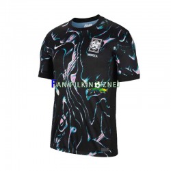 Koszulka Reprezentacji Korei Południowej 2024 Wyjazdowa Krótkie Rękawy ,Męska