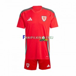 Koszulka Reprezentacji Walii 2024 Domowa Krótkie Rękawy ,Dziecięca