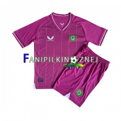 Koszulka Reprezentacji Irlandii Bramkarska 2023 Domowa Krótkie Rękawy ,Dziecięca