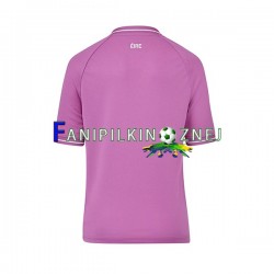 Koszulka Reprezentacji Irlandii Bramkarska 2023 Domowa Krótkie Rękawy ,Męska