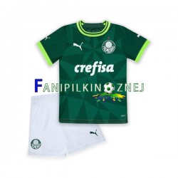Koszulka Palmeiras 2023-2024 Domowa Krótkie Rękawy ,Dziecięca