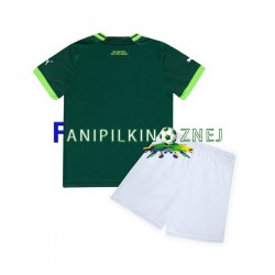 Koszulka Palmeiras 2023-2024 Domowa Krótkie Rękawy ,Dziecięca