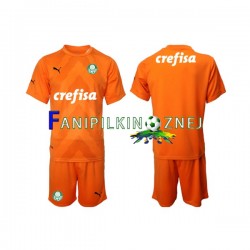 Koszulka Palmeiras Bramkarska 2022-2023 Trzeci Krótkie Rękawy ,Dziecięca