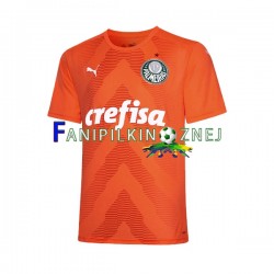 Koszulka Palmeiras Bramkarska 2022-2023 Trzeci Krótkie Rękawy ,Męska