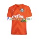 Koszulka Palmeiras Bramkarska 2022-2023 Trzeci Krótkie Rękawy ,Męska Koszulka Palmeiras Bramkarska 2022-2023 Trzeci Krótkie Rękawy ,Męska