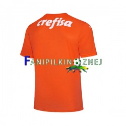 Koszulka Palmeiras Bramkarska 2022-2023 Trzeci Krótkie Rękawy ,Męska