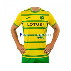 Koszulka Norwich City 2023-2024 Domowa Krótkie Rękawy ,Męska