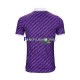 Koszulka Fiorentina 2023-2024 Domowa Krótkie Rękawy ,Męska