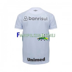 Koszulka Gremio 2023-2024 Wyjazdowa Krótkie Rękawy ,Męska