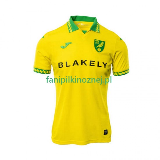 Koszulka Norwich City 2025-2026 Domowa Krótkie Rękawy ,Męska