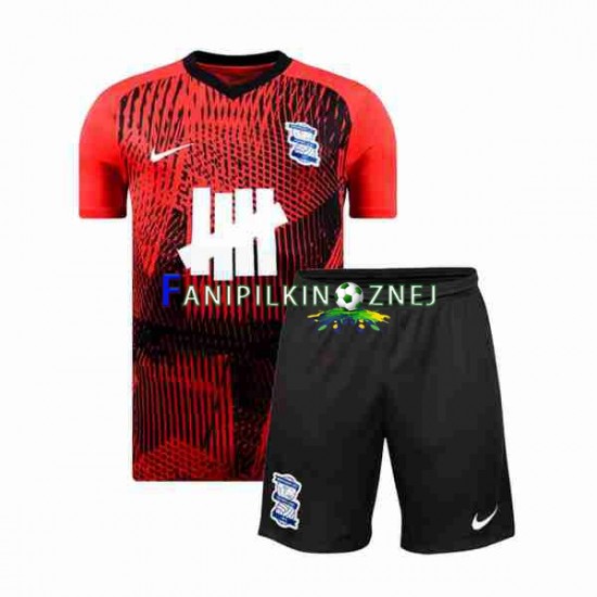 Koszulka Birmingham City 2023-2024 Wyjazdowa Krótkie Rękawy ,Dziecięca Koszulka Birmingham City 2023-2024 Wyjazdowa Krótkie Rękawy ,Dziecięca
