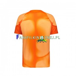 Koszulka Reprezentacji Finlandii Bramkarska 2022-2023 Domowa Krótkie Rękawy ,Męska