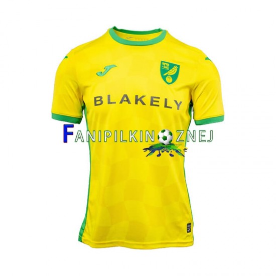 Koszulka Norwich City 2024-2025 Domowa Krótkie Rękawy ,Męska Koszulka Norwich City 2024-2025 Domowa Krótkie Rękawy ,Męska