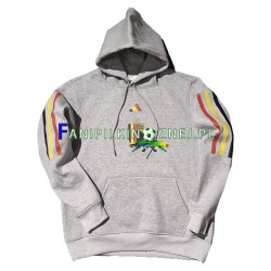 Reprezentacji Belgii Szary Sweter z Kapturem 2022-2023 ,Męska