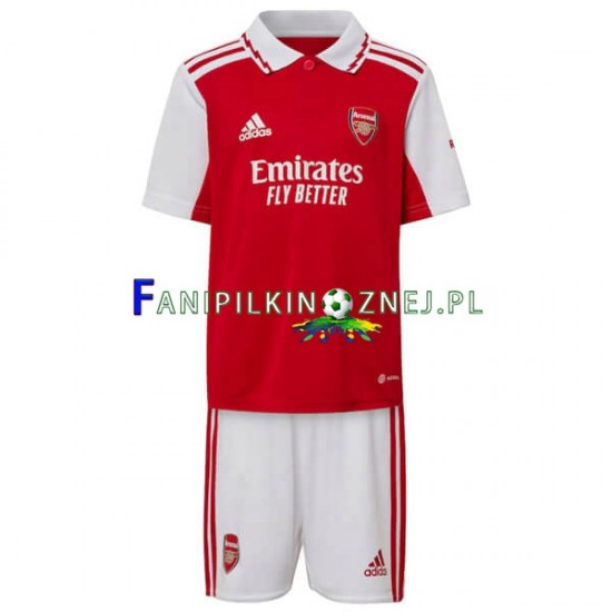 Koszulka Arsenal 2022-2023 Domowa Krótkie Rękawy ,Dziecięca Koszulka Arsenal 2022-2023 Domowa Krótkie Rękawy ,Dziecięca