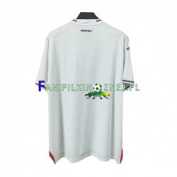 Koszulka Bayer 04 Leverkusen 2022-2023 Trzeci Krótkie Rękawy ,Męska