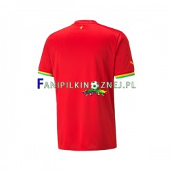 Koszulka Reprezentacji Ghany Mistrzostwa Świata 2022 Wyjazdowa Krótkie Rękawy ,Męska