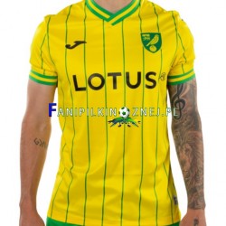 Koszulka Norwich City 2022-2023 Domowa Krótkie Rękawy ,Męska