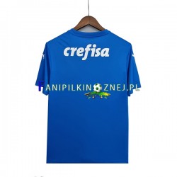 Koszulka Palmeiras Bramkarska 2022-2023 Wyjazdowa Krótkie Rękawy ,Męska