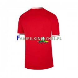 Koszulka Reprezentacji Polski Mistrzostwa Świata 2022 Wyjazdowa Krótkie Rękawy ,Męska