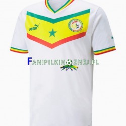 Koszulka Reprezentacji Senegalu Mistrzostwa Świata 2022 Domowa Krótkie Rękawy ,Męska