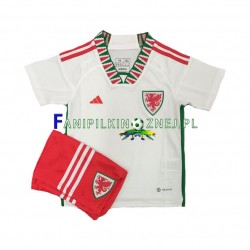 Koszulka Reprezentacji Walii Mistrzostwa Świata 2022 Wyjazdowa Krótkie Rękawy ,Dziecięca