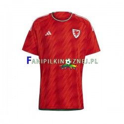 Koszulka Reprezentacji Walii Mistrzostwa Świata 2022 Domowa Krótkie Rękawy ,Męska